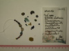 strand Bead