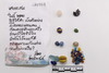 strand Bead