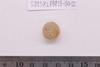 Pre-formed rough out Beads