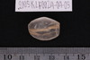 Stone Bead