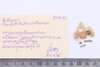 Beads fragment
