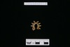 Gold split-ring