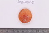 Pre-formed rough out Beads