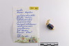 Mixed object in packaging