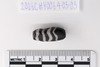 Pre-formed rough out Beads