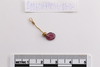 Gold Ear ornament with a drop