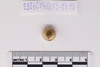 Gold glass Beads