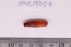 Pre-formed rough out Beads