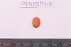 Intaglio & Cameos
