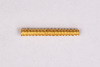 Gold Bead