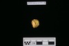 Gold coin