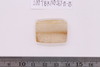 Pre-formed rough out Beads