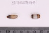 Pre-formed rough out Beads