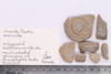 Piece of Stone casket