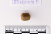 Gold glass Beads