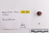 Mixed object in packaging