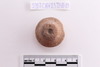 Spindle Whorl
