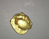 Gold coin
