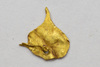 Gold Pendant
