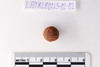 Pre-formed rough out Beads