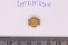 Gold glass Beads