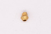 Gold Bead