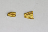 Gold Bead