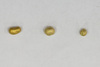 Gold nugget