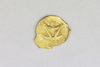 Gold coin
