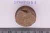 Spindle Whorl