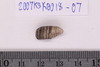 Pre-formed rough out Beads