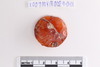 Pre-formed rough out Beads