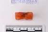 Pre-formed rough out Beads