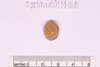 Intaglio & Cameos