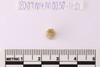 Gold glass Beads