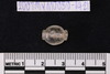 Collared Bead