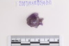 Special Bead