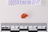 Pre-formed rough out Beads