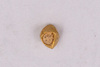 Gold Bead