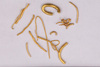 Gold wirework