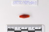 Stone Bead