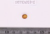 Pre-formed rough out Beads