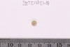 Gold glass Beads