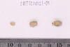 Gold glass Beads