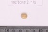Gold glass Beads