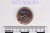 Pre-formed rough out Beads
