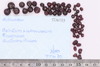 Mixed object in packaging
