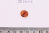 Intaglio & Cameos