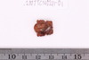 Amuletics & Figurines