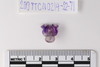 Triratna Bead
